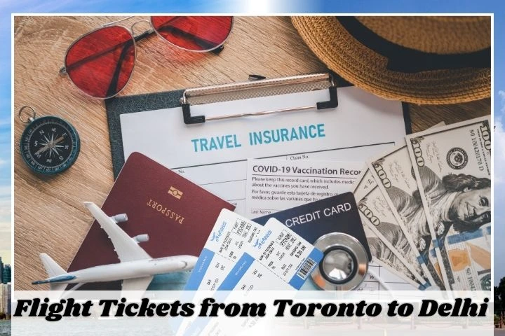 flight ticket from toronot to dlehi
