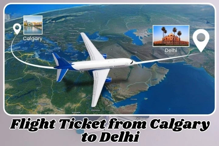 Ticket from Calgary to Delhi