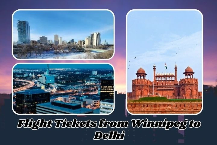 Flight to Delhi from Edmonton