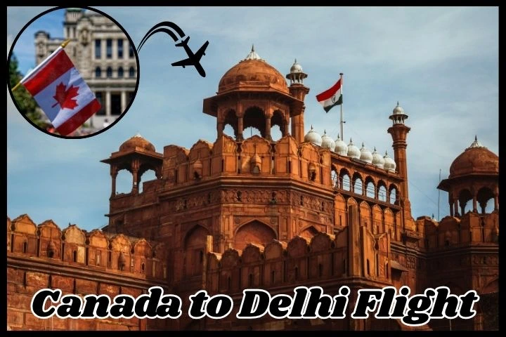 canada to delhi flight ticket price
